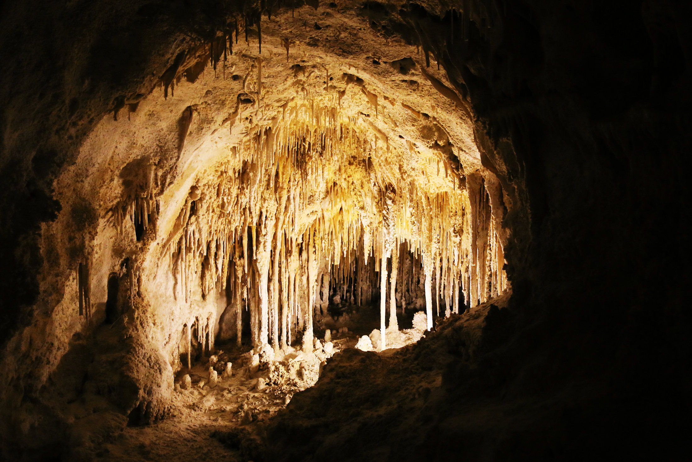 CarlsbadCaverns_NM10