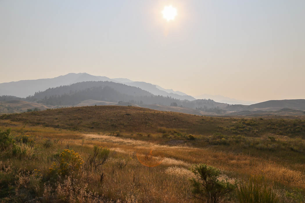 yellowstone3-aug2015-23